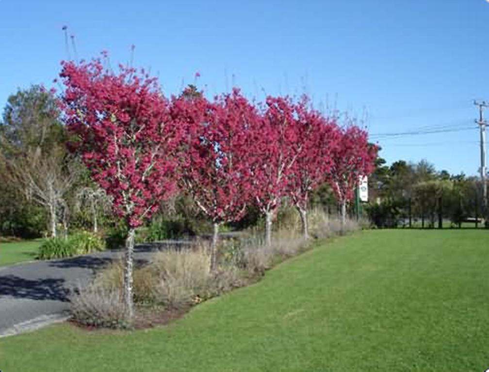 Warkworth Country House Exteriör bild