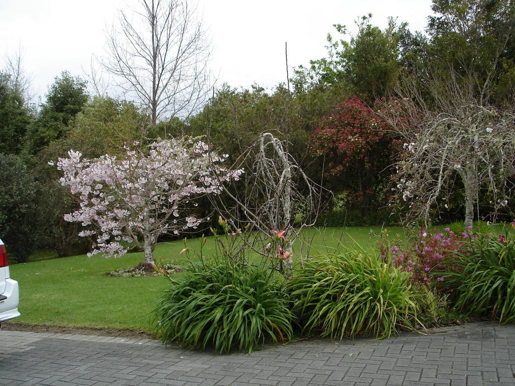 Warkworth Country House Exteriör bild