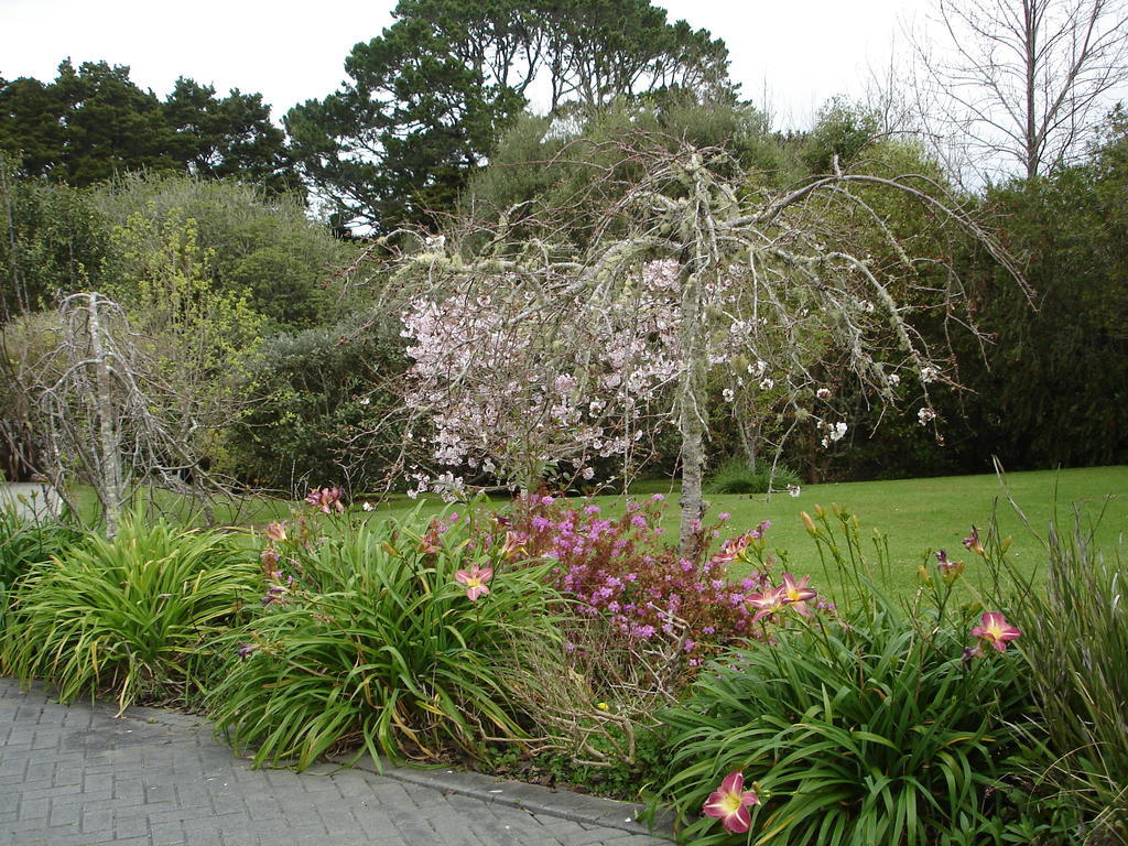 Warkworth Country House Exteriör bild