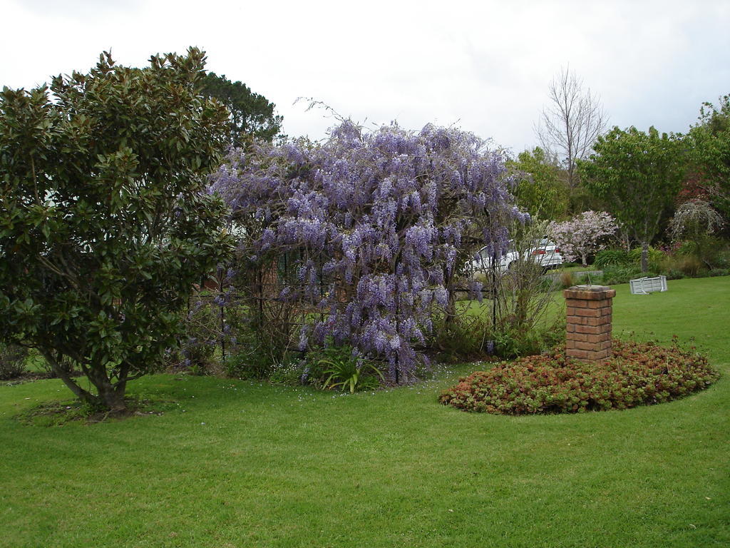Warkworth Country House Exteriör bild
